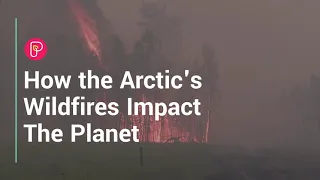 Siberia fires