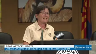 Officials discuss necropsy of bear that killed man near Prescott