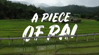 Pai is the PARADISE of Northern Thailand | The Mae Hong Son Loop Pt.2