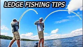 MEGA SCHOOL of BASS on Pickwick Lake! LEDGE FISHING TIPS with LAMBERT! (The Hammer)