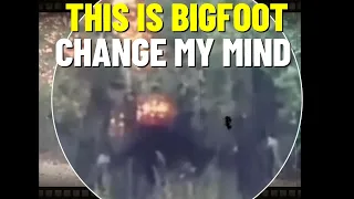 THIS IS BIGFOOT CHANGE MY MIND #bigfoot #paranormal #scary