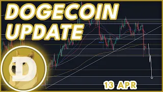 DOGE CRASH WARNING!🚨 | DOGECOIN (DOGE) PRICE PREDICTION & NEWS 2024!