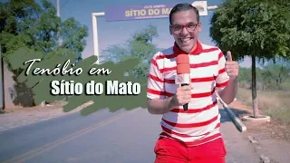 Tenóbio em Sítio do Mato - BA