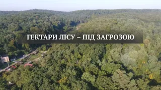 20 гектарів лісу між Львовом і Брюховичами планують забудувати багатоквартирним житлом