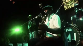 TERRY HARMONICA BEAM & JELLY ROLL BOYS LIVE AT MR JONES - BOOGIE ALL NIGHT LONG