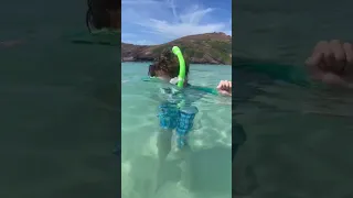 Snorkeling in Hanauma Bay-Oahu, Hawaii