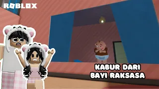 KABUR DARI BAYI RAKSASA MENYEBALKAN😡 | TEAM BABY BERRY ESCAPE ROBLOX