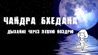 Дыхание через левую ноздрю. Чандра бхедана