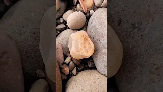 Chalcedony Crystal Gem Found by Eagle Eye!!! #rockhounding