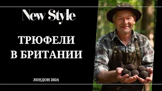 Трюфельное фермерство... в Великобритании: деликатесы в Соединенном королевстве