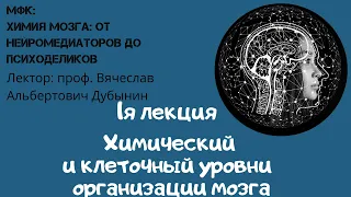 Лекция 1  Вячеслав Дубынин «ХИМИЯ» МОЗГА  ОТ НЕЙРОМЕДИАТОРОВ ДО ПСИХОДЕЛИКОВ  Обзор строения и функц