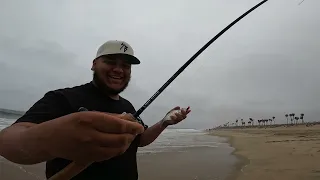 SURF FISHING WITH VICTOR FROM TRUCHA SPOONS (his first time fishing the SoCal  surf)