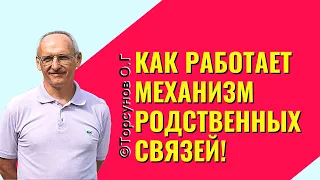 Как работает механизм родственных связей! Торсунов лекции