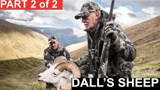 Father’s Day in August Dall’s Sheep Part 2 of 2