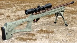 10/22, 300 Yards, 4 Inch Target?