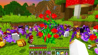 Minecraft Dar Florile Sunt Op...