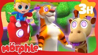 Mila's Magic Animal Show! | Morphle Kids Cartoons | Stories for Kids