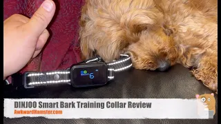 DINJOO Smart Bark Training Collar Review