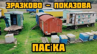 ✅Пасіка Андрієнків