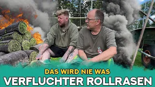 Dumm & Dümmer verlegen Rollrasen | Udo & Wilke