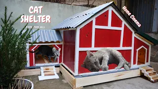 Inside the Most Luxurious Stray Cat Shelter Ever