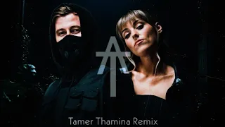 Alan Walker & Sasha Alex Sloan - Hero (Tamer Thamina Remix)