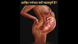 Why is the umbilical cord important? आखिर गर्भनाल क्यों महत्वपूर्ण है? ll #viral #shorts #short #gk