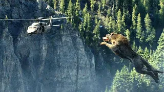 Giant Wolf Attack Scene - Wolf vs Helicopter - Rampage (2018) Movie Clip HD | Wolf