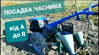 Посадка часника мотоблоком 2022. Повний цикл робіт!