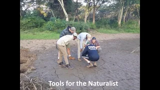 Environmental education tools to use in the field for a naturalist.