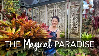 Peek into The ARTIST's Garden | Garden Design Ideas & Plant Care Tips @ART & GARDEN ft Fuan Wong