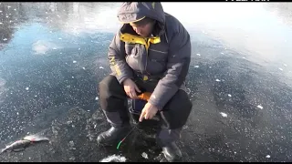 Рыбалка на первом льду. Рыбацкое счастье от 27.11.2018