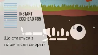 Що стається з тілом після смерті?