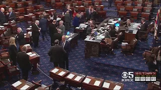 Senate Passes Budget Deal in Overnight Vote After Gov't Shutdown Takes Effect