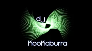 Never - DJ Kookaburra