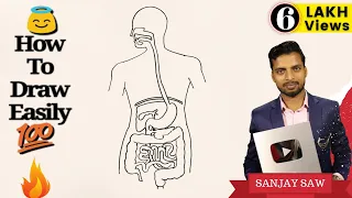How to Draw Human Digestive System step by step for Beginners !