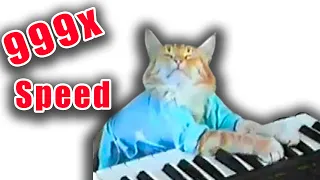 Keyboard Cat But it's 999x Speed