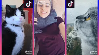 Забавные питомцы #5 TikTok Rasha Musical.ly | Coming Home. ZEZE. #Selfie. The Monster. Count On Me.