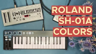 Roland SH-01a Patches for Ambient, Techno and Electronica "Colors Sound Pack"