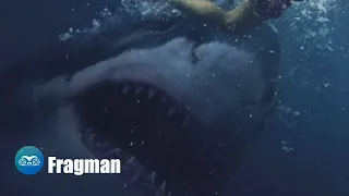 Great White (2021) - Fragman