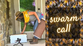 Help.... We have BEES [ Honey Bee Swarm Call ]