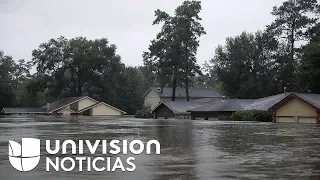 Huracán Harvey: Inundación de 54 pies cubre esperanzas de residentes de La Grange, Texas