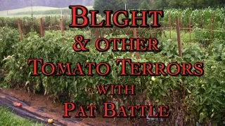 Blight & Other Tomato Terrors with Pat Battle