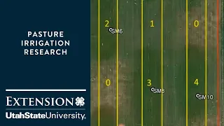 Pasture Irrigation Research