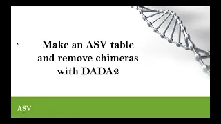 6 Make an ASV table and remove chimeras with DADA2