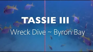 Byron Bay Tassie III Wreck Dive