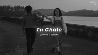 Tu Chale - (Slowed & Reverb) | Arijit Singh, Shreya Ghoshal | Nostalgic