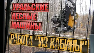 Вид из кабины харвестера. SDLG E6210DL с харвестерной головой UFM X600 | Logging on harvester.