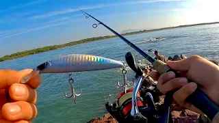 PESCA de PARGOS de ORILLA || como usar un  MINNOW || JERKBAIT || MEDIA AGUA..