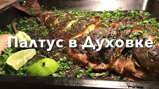 Палтус 🐟 | Как вкусно и красиво запечь палтус